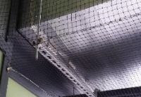 Picture133