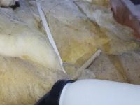 Picture10