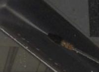 Picture5
