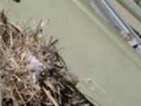 Picture7